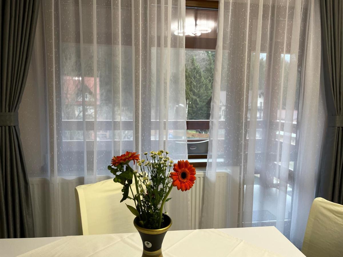 Apartament Lexannona Buşteni Dış mekan fotoğraf