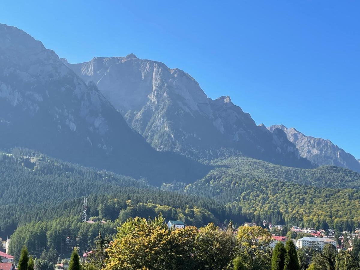 Apartament Lexannona Buşteni Dış mekan fotoğraf