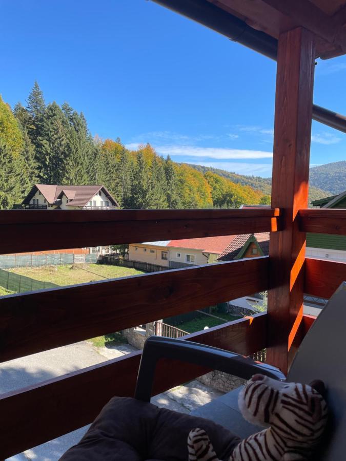 Apartament Lexannona Buşteni Dış mekan fotoğraf