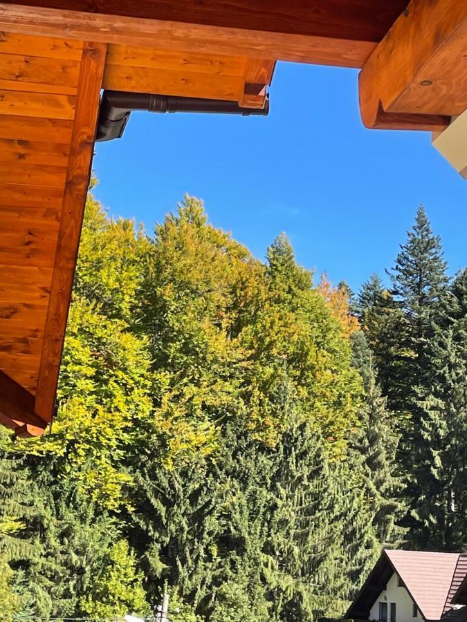 Apartament Lexannona Buşteni Dış mekan fotoğraf