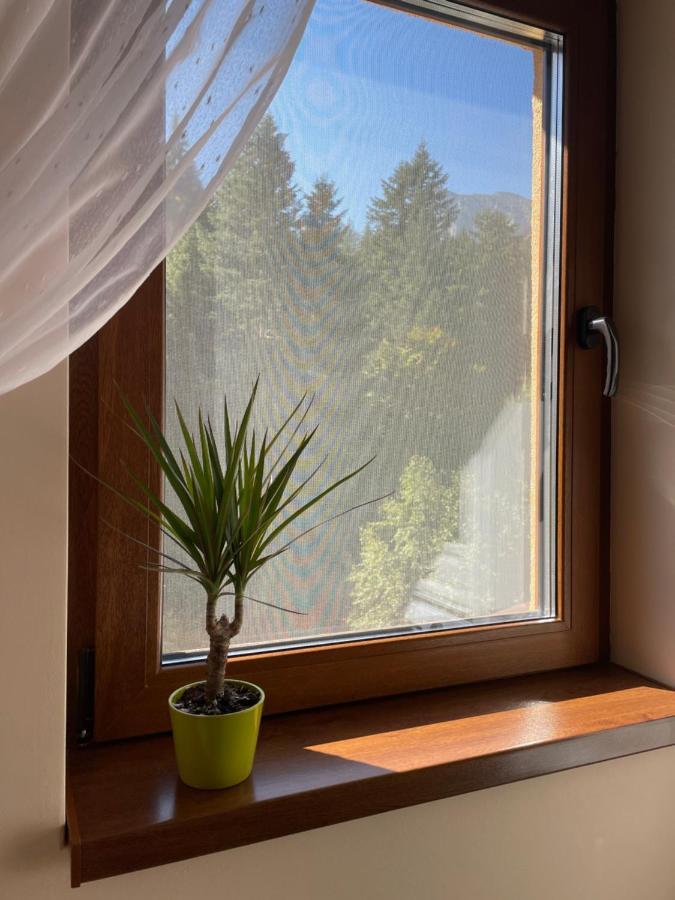 Apartament Lexannona Buşteni Dış mekan fotoğraf