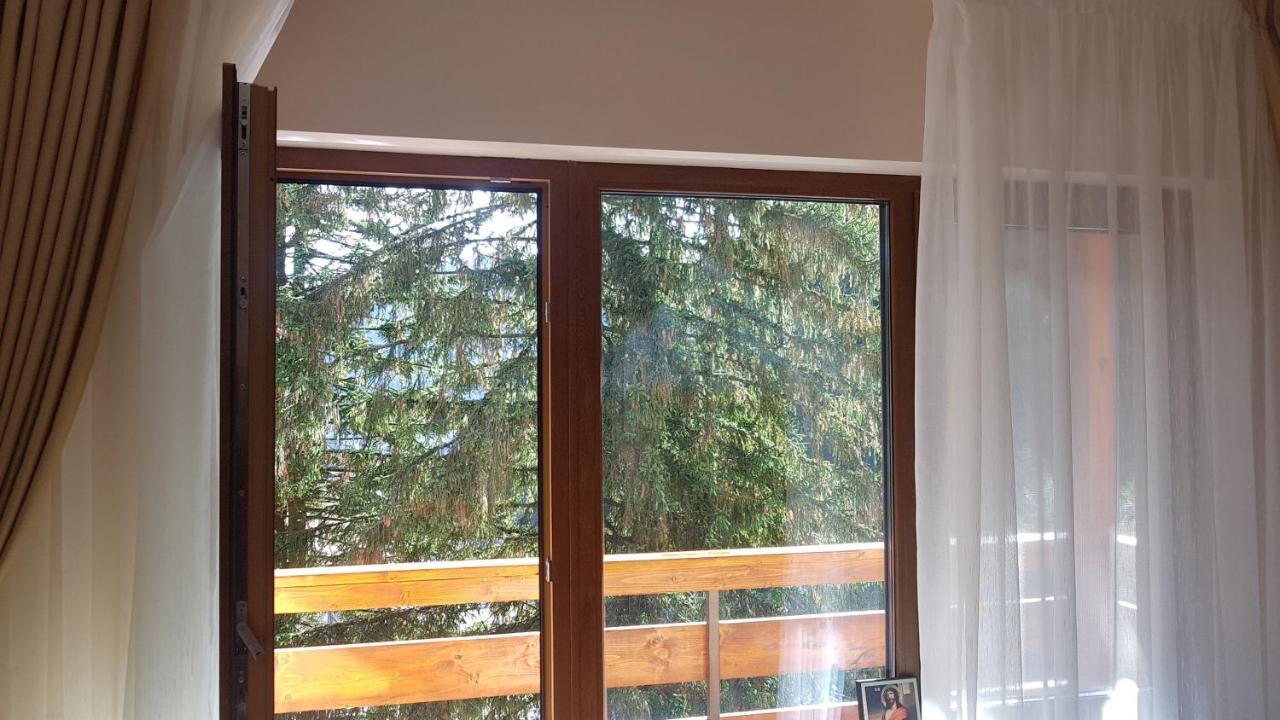 Apartament Lexannona Buşteni Dış mekan fotoğraf